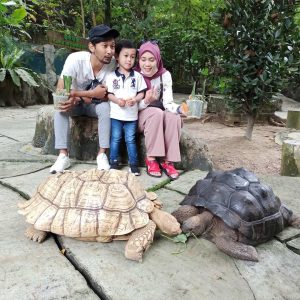 Farm In The City Day Pass Ticket | Selangor